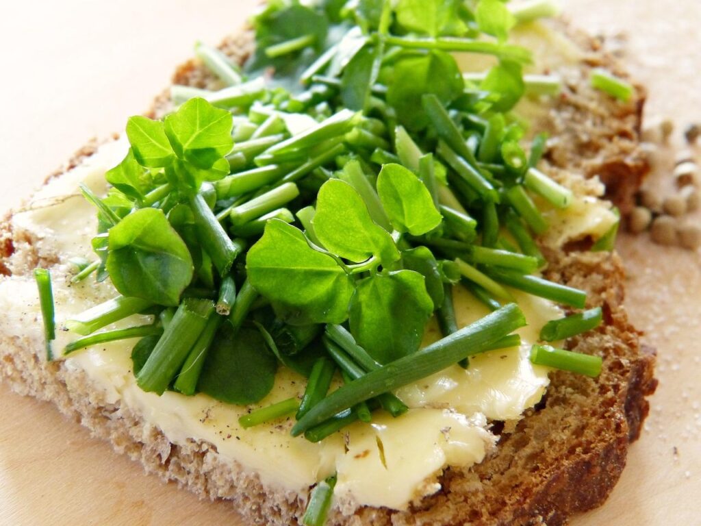Chleb orkiszowy
