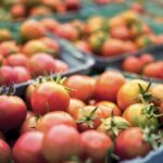 Praktyczne porady: Jak przechowywać niedojrzałe pomidory w domu